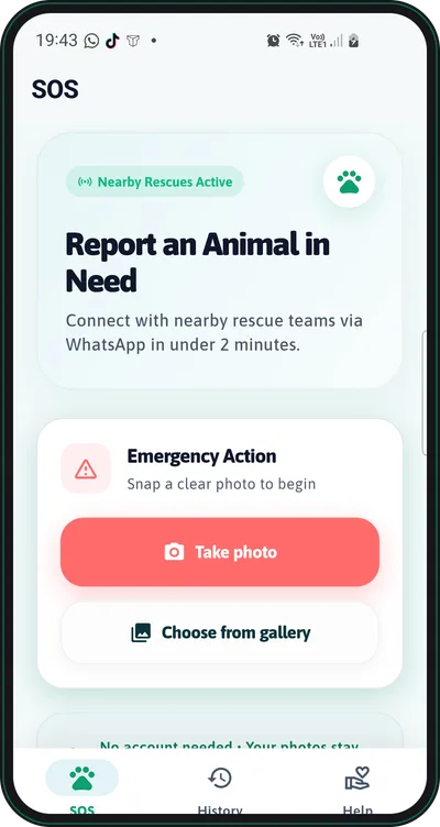 RescuePawtal, phone mockup preview